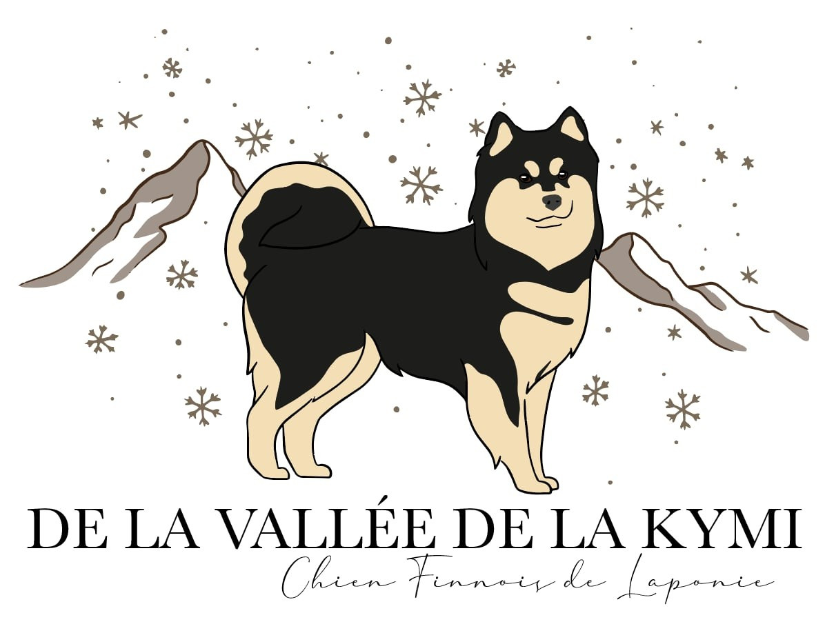 De La Vallée De La Kymi